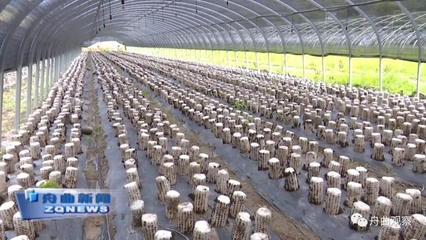 天津?yàn)I江集團(tuán)深入調(diào)研我縣農(nóng)副產(chǎn)品產(chǎn)業(yè)，聚焦新鮮水果零售市場(chǎng)新機(jī)遇